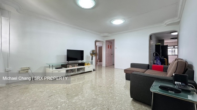 Blk 301 Clementi Haven (Clementi), HDB 4 Rooms #487225511